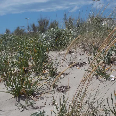 Bed & Breakfast Casa Da Mare Salento *